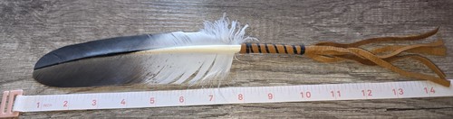 Eagle smudge feather native - smudge,