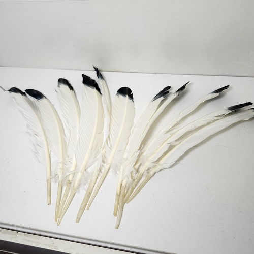 Pcs large imitation eagle - pcs,