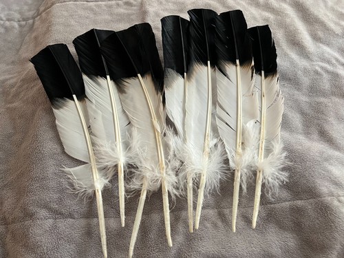 Smudging feather faux eagle - feather-,