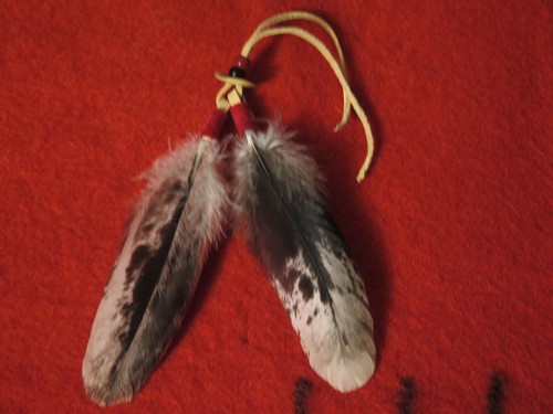 Feather native american - feather, made